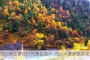 四川米亚罗红叶风景区图片-四川米亚罗旅游攻略