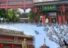 南京游玩攻略一日游_南京旅游攻略一日游必去景点