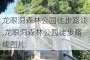 龙眼洞森林公园徒步路线,龙眼洞森林公园徒步路线图片