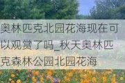 奥林匹克北园花海现在可以观赏了吗_秋天奥林匹克森林公园北园花海