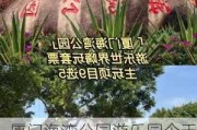 厦门海湾公园游乐园今天有开吗-厦门海湾公园游乐园