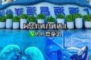 上海海洋公园门票套票多少-上海海洋公园门票套票