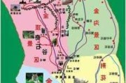 金山森林公园地址_金山森林公园游玩攻略