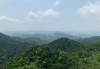 花都王子山森林公园规划出炉-花都王子山风景区