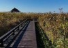 宁波杭州湾湿地公园旅游_宁波市杭州湾湿地公园