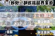 上海张家界旅游攻略,上海去张家界的游客