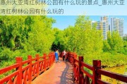 惠州大亚湾红树林公园有什么玩的景点_惠州大亚湾红树林公园有什么玩的