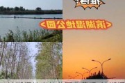 滨湖湿地森林公园收费吗_滨湖湿地森林公园收费吗