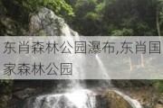 东肖森林公园瀑布,东肖国家森林公园