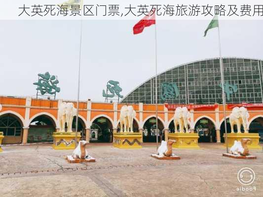 大英死海景区门票,大英死海旅游攻略及费用