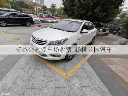 杨桃公园停车场收费_杨桃公园汽车