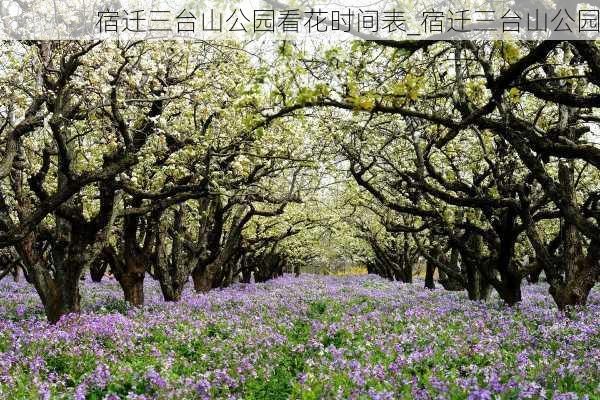 宿迁三台山公园看花时间表_宿迁三台山公园