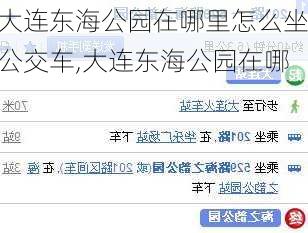 大连东海公园在哪里怎么坐公交车,大连东海公园在哪