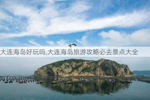 大连海岛好玩吗,大连海岛旅游攻略必去景点大全