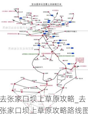 去张家口坝上草原攻略_去张家口坝上草原攻略路线图