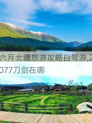 六月北疆旅游攻略自驾游,2077刀剑在哪