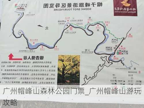 广州帽峰山森林公园门票_广州帽峰山游玩攻略