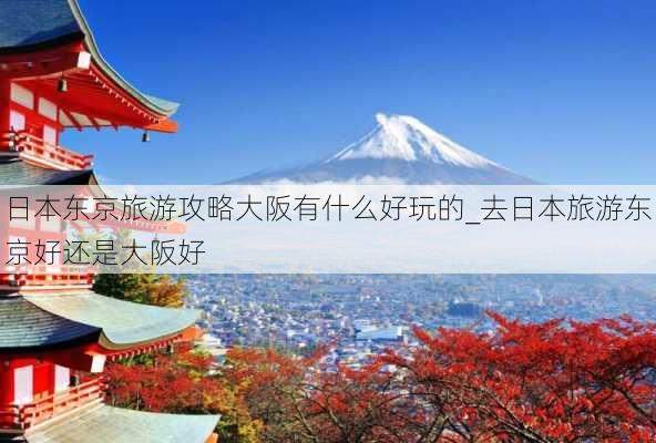 日本东京旅游攻略大阪有什么好玩的_去日本旅游东京好还是大阪好