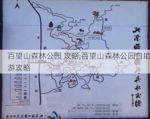 百望山森林公园 攻略,百望山森林公园自助游攻略