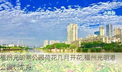 福州光明港公园荷花几月开花,福州光明港公园划龙舟