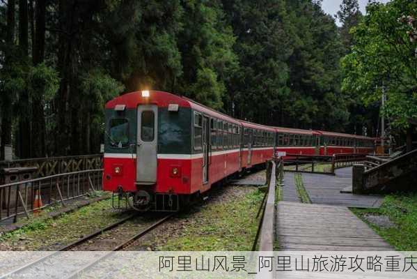 阿里山风景_阿里山旅游攻略重庆