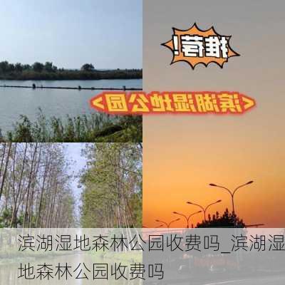 滨湖湿地森林公园收费吗_滨湖湿地森林公园收费吗