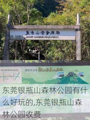 东莞银瓶山森林公园有什么好玩的,东莞银瓶山森林公园收费