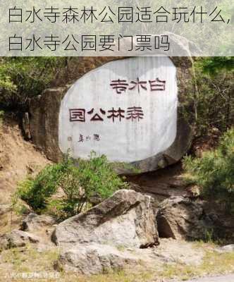 白水寺森林公园适合玩什么,白水寺公园要门票吗