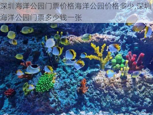 深圳海洋公园门票价格海洋公园价格多少,深圳海洋公园门票多少钱一张