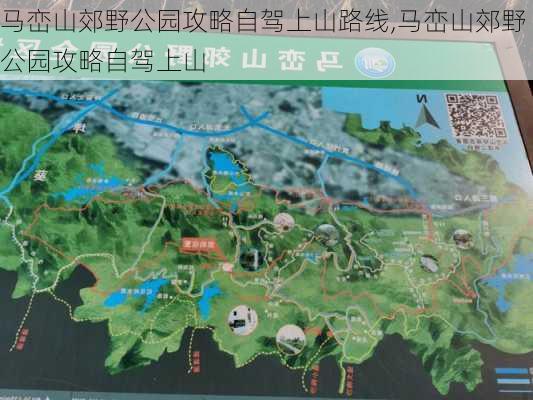 马峦山郊野公园攻略自驾上山路线,马峦山郊野公园攻略自驾上山