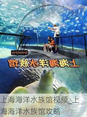 上海海洋水族馆视频_上海海洋水族馆攻略