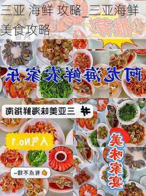 三亚 海鲜 攻略_三亚海鲜美食攻略