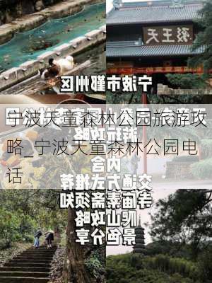 宁波天童森林公园旅游攻略_宁波天童森林公园电话