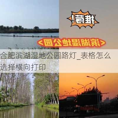 合肥滨湖湿地公园路灯_表格怎么选择横向打印