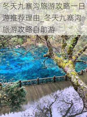 冬天九寨沟旅游攻略一日游推荐理由_冬天九寨沟旅游攻略自助游