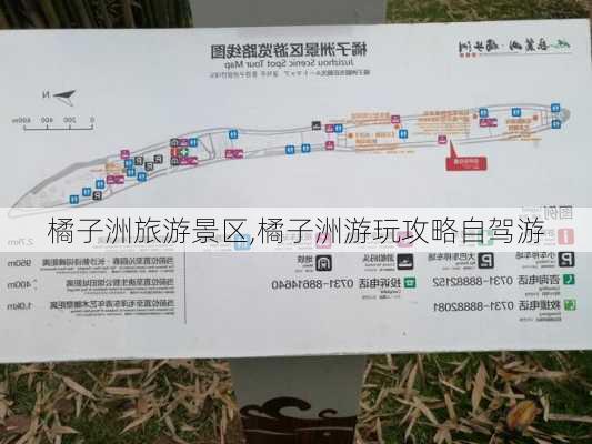 橘子洲旅游景区,橘子洲游玩攻略自驾游