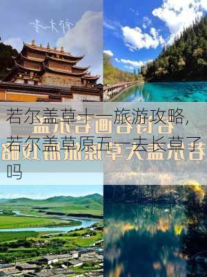 若尔盖草十一旅游攻略,若尔盖草原五一去长草了吗