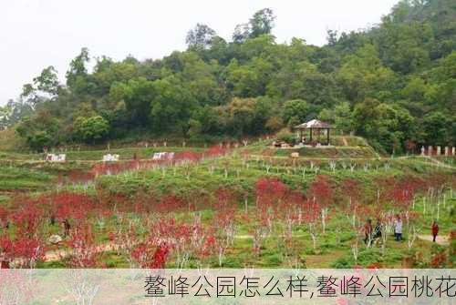 鳌峰公园怎么样,鳌峰公园桃花