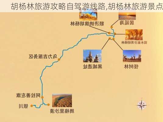 胡杨林旅游攻略自驾游线路,胡杨林旅游景点