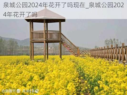 泉城公园2024年花开了吗现在_泉城公园2024年花开了吗