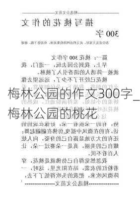 梅林公园的作文300字_梅林公园的桃花