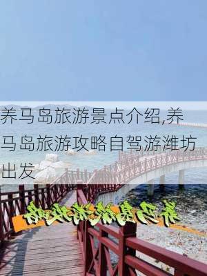 养马岛旅游景点介绍,养马岛旅游攻略自驾游潍坊出发