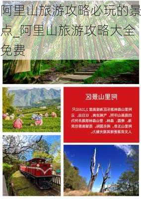 阿里山旅游攻略必玩的景点_阿里山旅游攻略大全免费