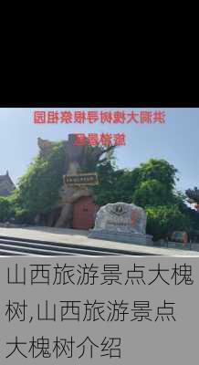 山西旅游景点大槐树,山西旅游景点大槐树介绍