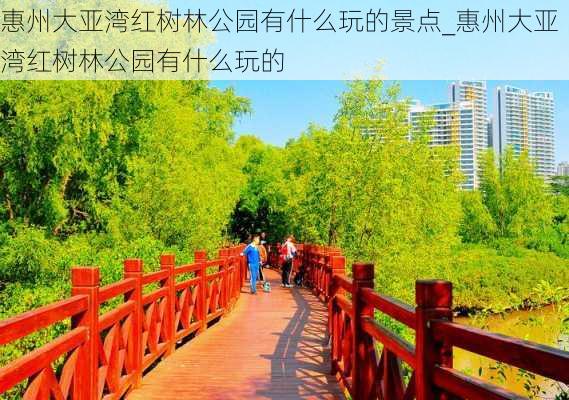 惠州大亚湾红树林公园有什么玩的景点_惠州大亚湾红树林公园有什么玩的