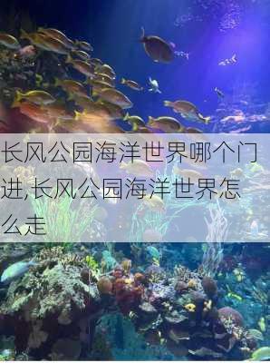 长风公园海洋世界哪个门进,长风公园海洋世界怎么走