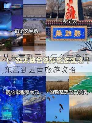 从东营到云南怎么去合适,东营到云南旅游攻略