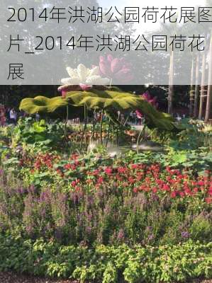 2014年洪湖公园荷花展图片_2014年洪湖公园荷花展