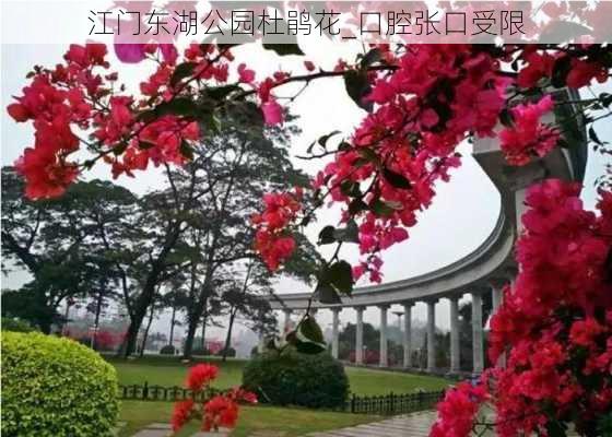 江门东湖公园杜鹃花_口腔张口受限