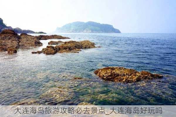 大连海岛旅游攻略必去景点_大连海岛好玩吗